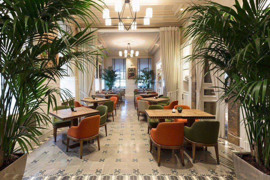 The image shows a bright, elegant dining area with colorful chairs, large potted plants, and soft natural lighting.