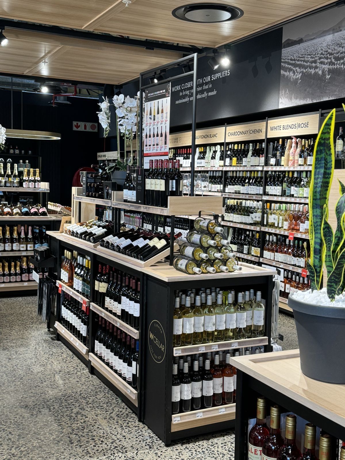A well-organized wine store with shelves stocked with various bottles of wine and a decorative potted plant.