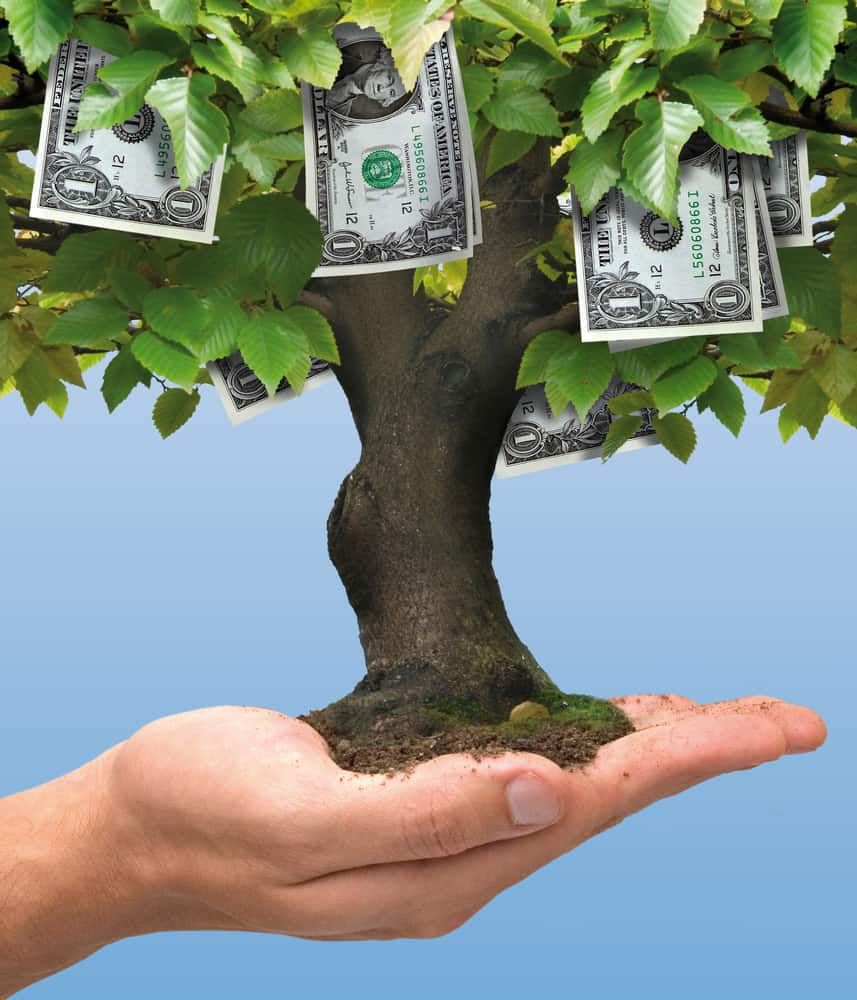 A hand holding a growing tree with dollar bills hanging from its branches, symbolizing business growth, funding opportunities, and financial success in the BusinessLoans.com vs Swish Funding comparison.